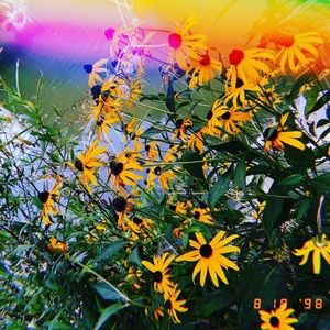 Meet your Posher, Briana